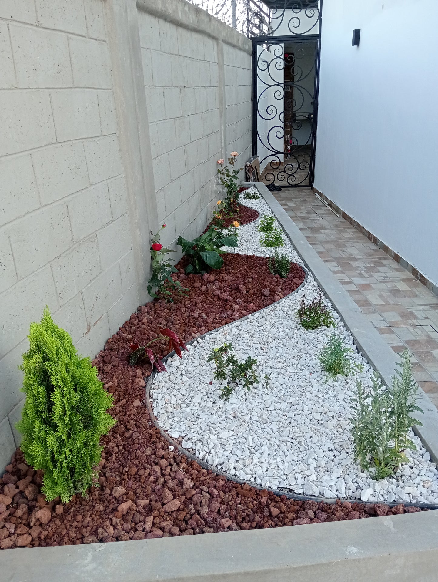 Mantenimiento de Jardines