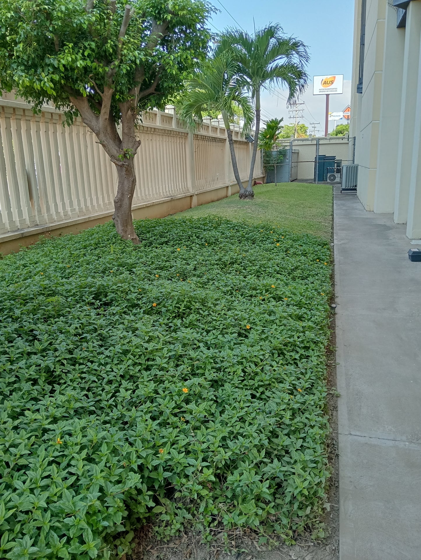 Mantenimiento de Jardines