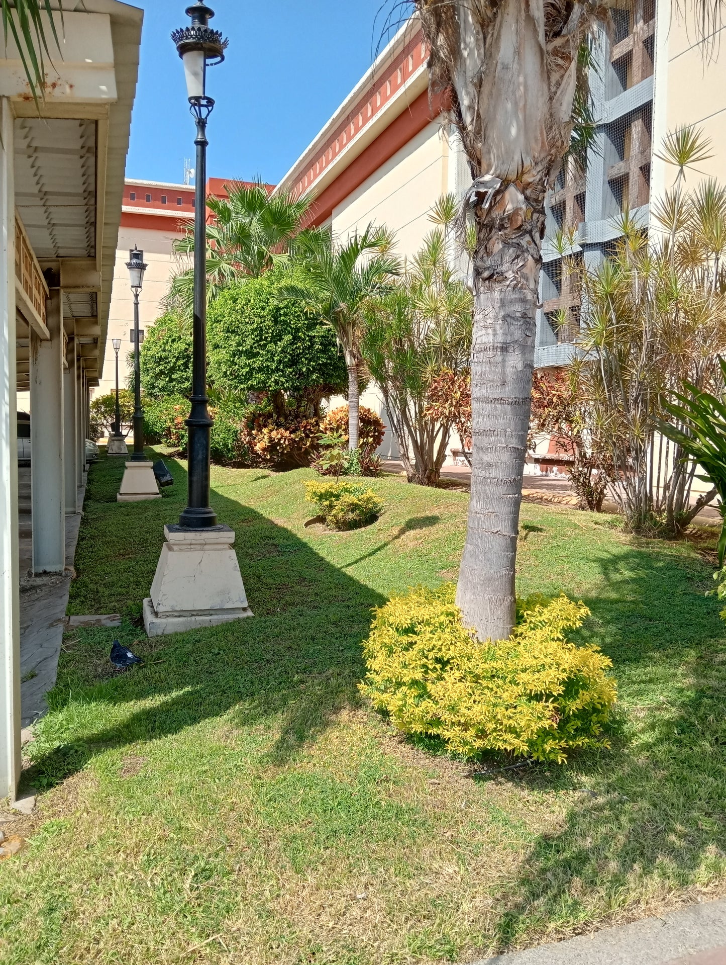 Mantenimiento de Jardines