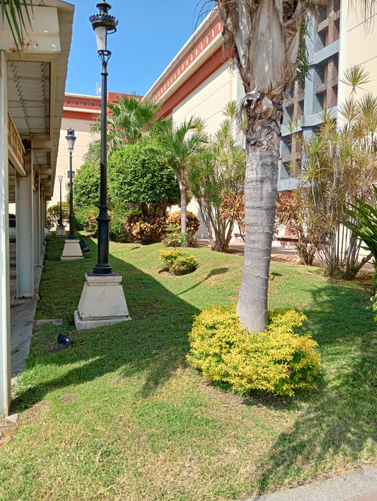 Mantenimiento de Jardines