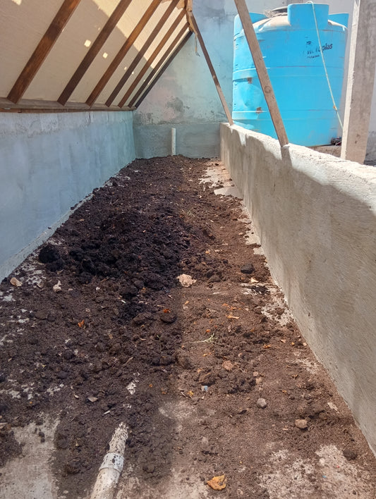 Humus de lombriz y Núcleo de lombriz 🪱