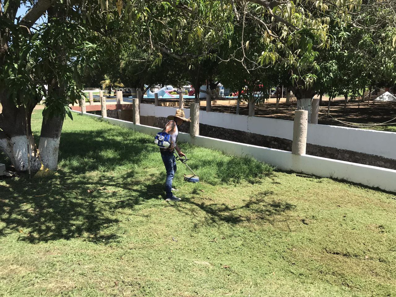 Mantenimiento de Jardines