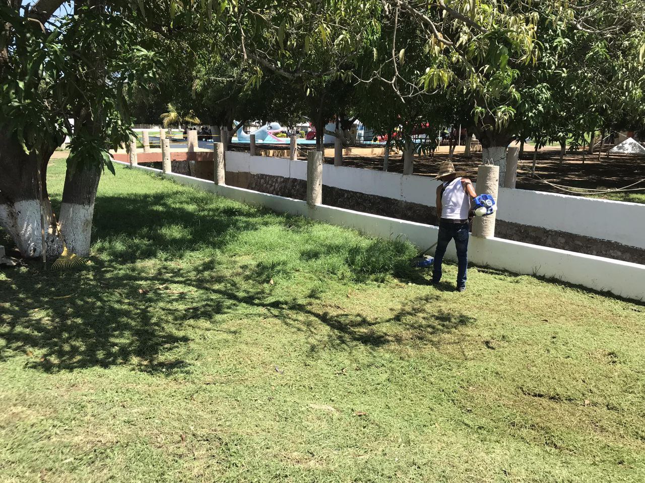 Mantenimiento de Jardines