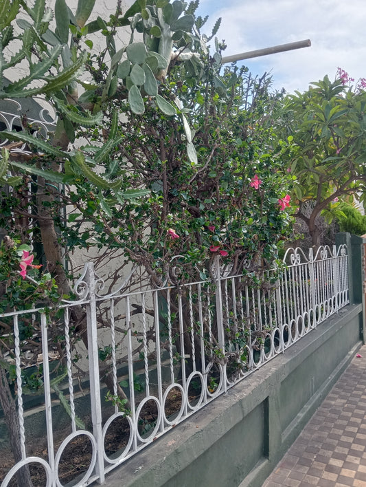 Fumigación de jardines y plantas